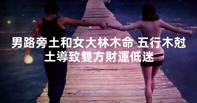 男路旁土和女大林木命 五行木尅土導致雙方財運低迷